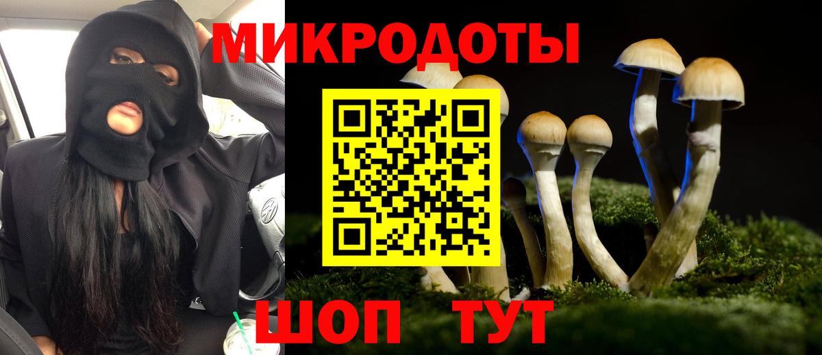 Галлюциногенные грибы Magic Shrooms  Вход с VPN  купить наркотики цена  Дятьково 
